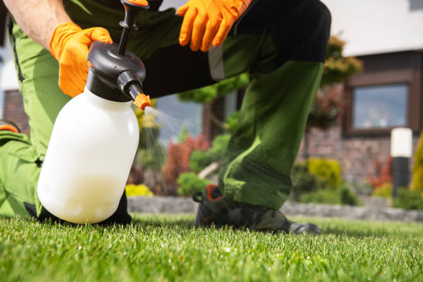 Best Local Pest Control Services  in Byron Center, MI