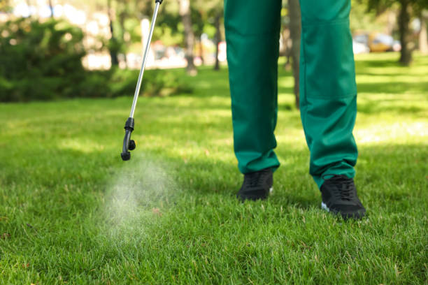 Best Emergency Pest Control  in Byron Center, MI