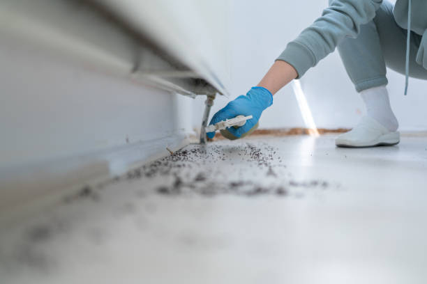 Reliable Byron Center, MI Pest Control Solutions